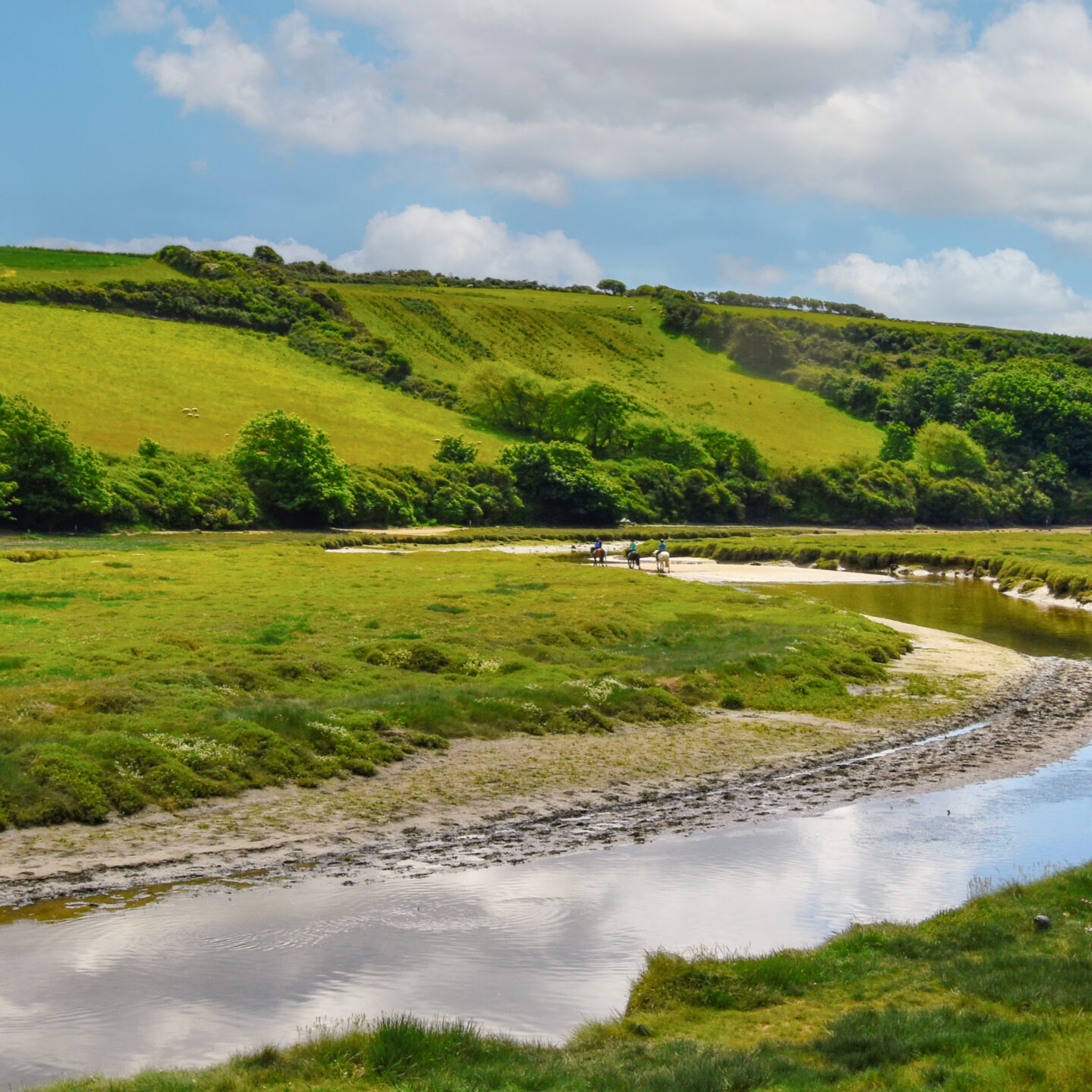 Pony-trecking-on-the-Gannel-copy-2